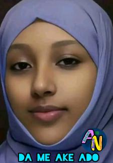Dame Ake Ado Book 1 By Fauziyya D. Suleiman .pdf
